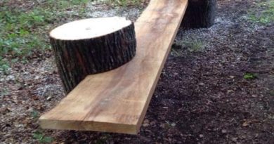 How to Cut Firewood To Make Your Garden Beautiful