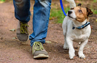 Take Medical Precautions