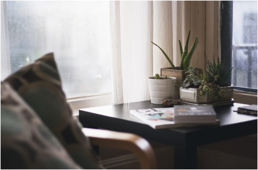 Think of some houseplants