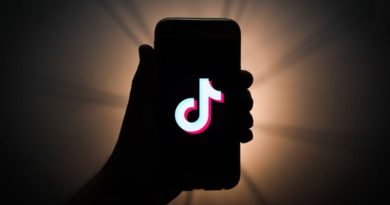 TikTok Spy App