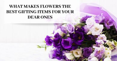 Flowers the Best Gifting Items