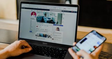 Online Brand Reputation