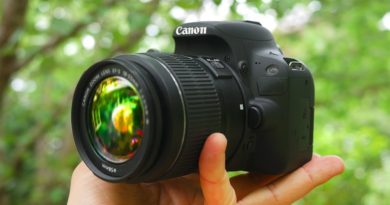 Best Cameras for Beginners
