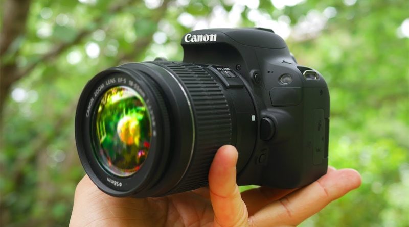 Best Cameras for Beginners