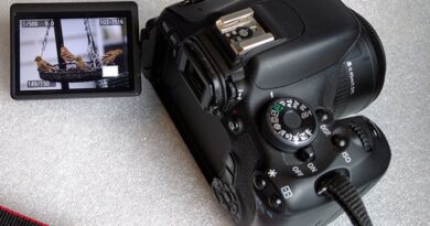 Best DSLR Camera with Flip Screen