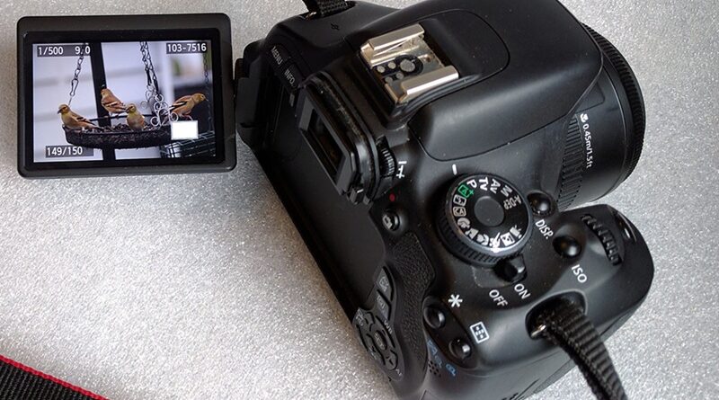 Best DSLR Camera with Flip Screen