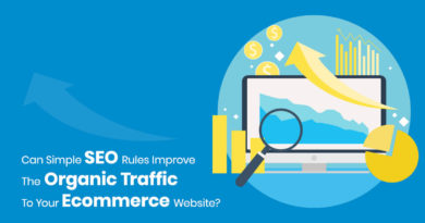 Can Simple SEO Rules Improve The Organic Traffic To Your Ecommerce Website