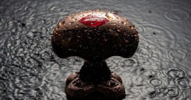 online butterfly kiss shaver