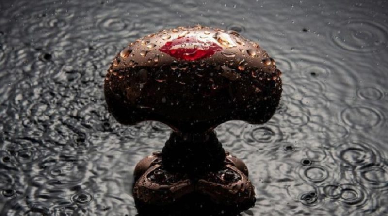 online butterfly kiss shaver