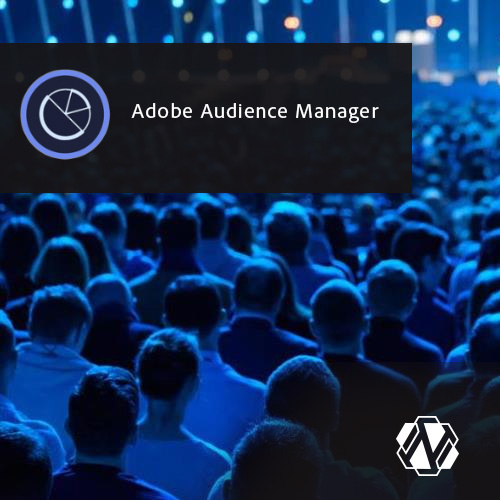 Adobe Audience Manager