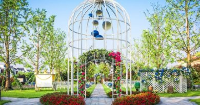 Destination Wedding in Pushkar