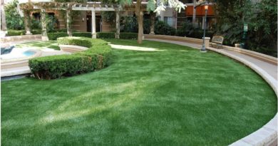 Installing Artificial Grass