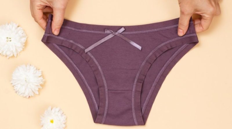 Ladies Incontinence Pants