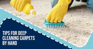 Tips For Deep Cleaning Carpets by Hand