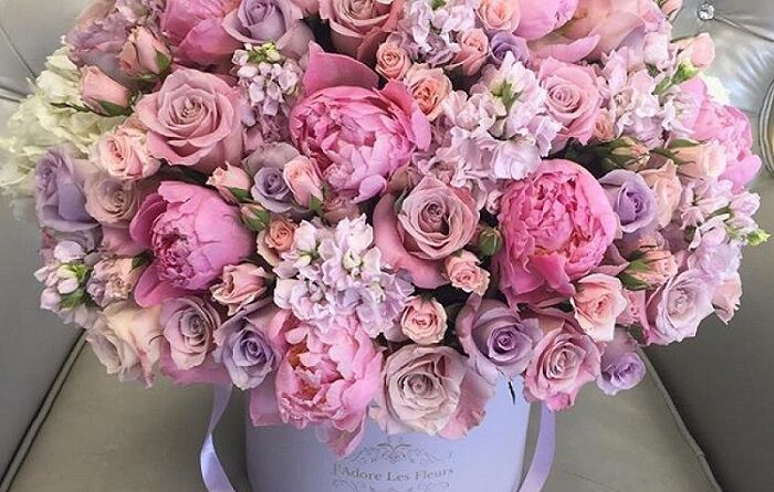 medicinal flowers