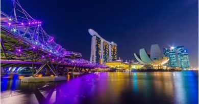 Employment Visa in Singapore