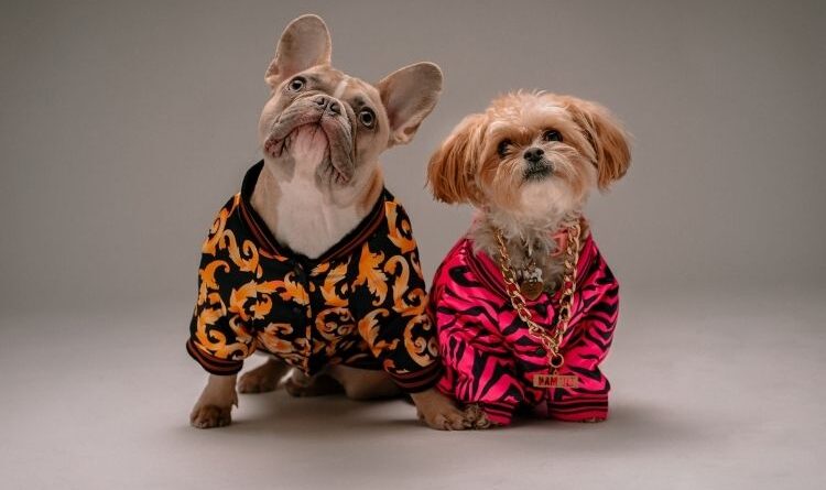 dog clothes