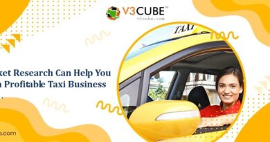 Profitable Taxi Business