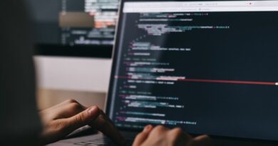 Software Development