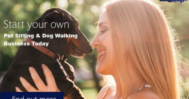 Pet and Dog Walking Business
