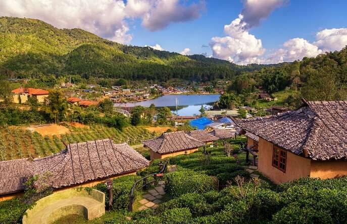 ooty tour packages