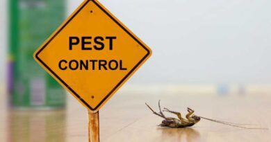 pest control services