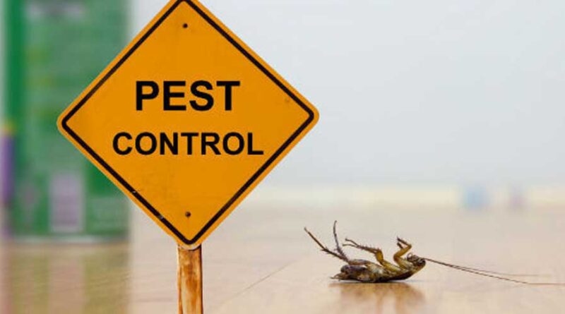 pest control services