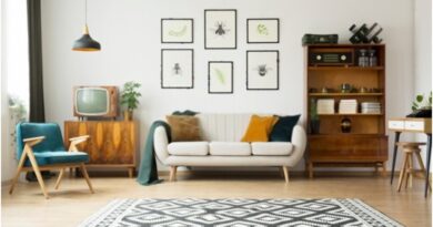 Living Room Rug Ideas