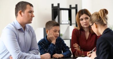 child custody lawyer