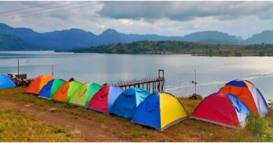 Bhandardara Camping