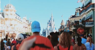 Matching T-shirts For Your Next Expedition to Disney