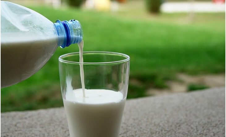 Distinction Between Raw Milk and Pasteurized Milk