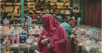 Largest Grocery Chains