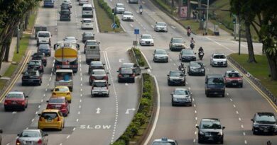 Online Transport Information System