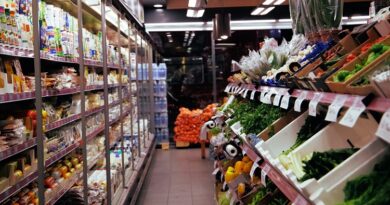 Things to Know About German Shopping Stores