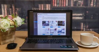 Updating WordPress themes