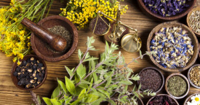 Ayurvedic medicine manufacturers in India