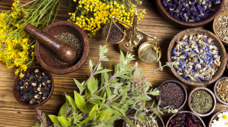 Ayurvedic medicine manufacturers in India