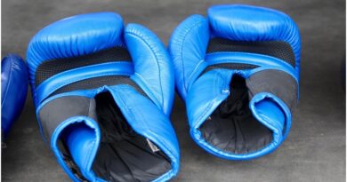 Boxing Gloves for Heavy Bag
