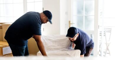 Unfolded The Reasons Why We Need Packers and Movers Services