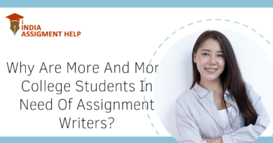 Assignment Writers