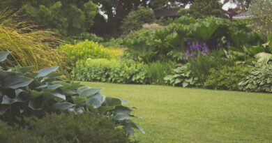 Best Practices for A Sustainable Landscape Maintenance