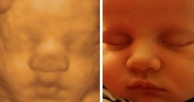 3D Sneak Peek: Pregnancy for You and Your Unborn Child