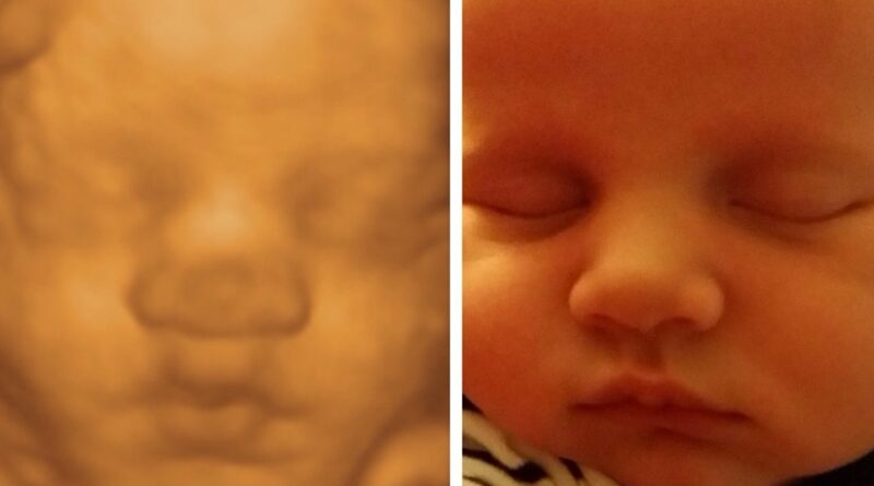 3D Sneak Peek: Pregnancy for You and Your Unborn Child