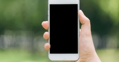 Front-End iOS Game Development