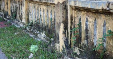 Shed Installation Service Sumner WA