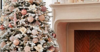 Christmas Window Hanging Lights