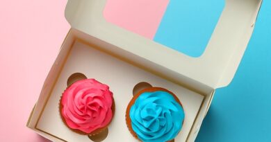 cupcake box with insert and window