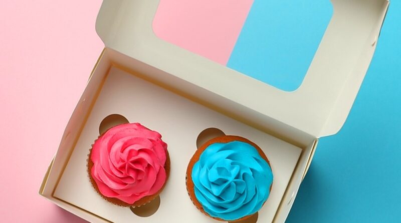 cupcake box with insert and window
