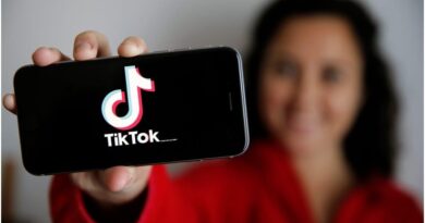 TikTok Downloader